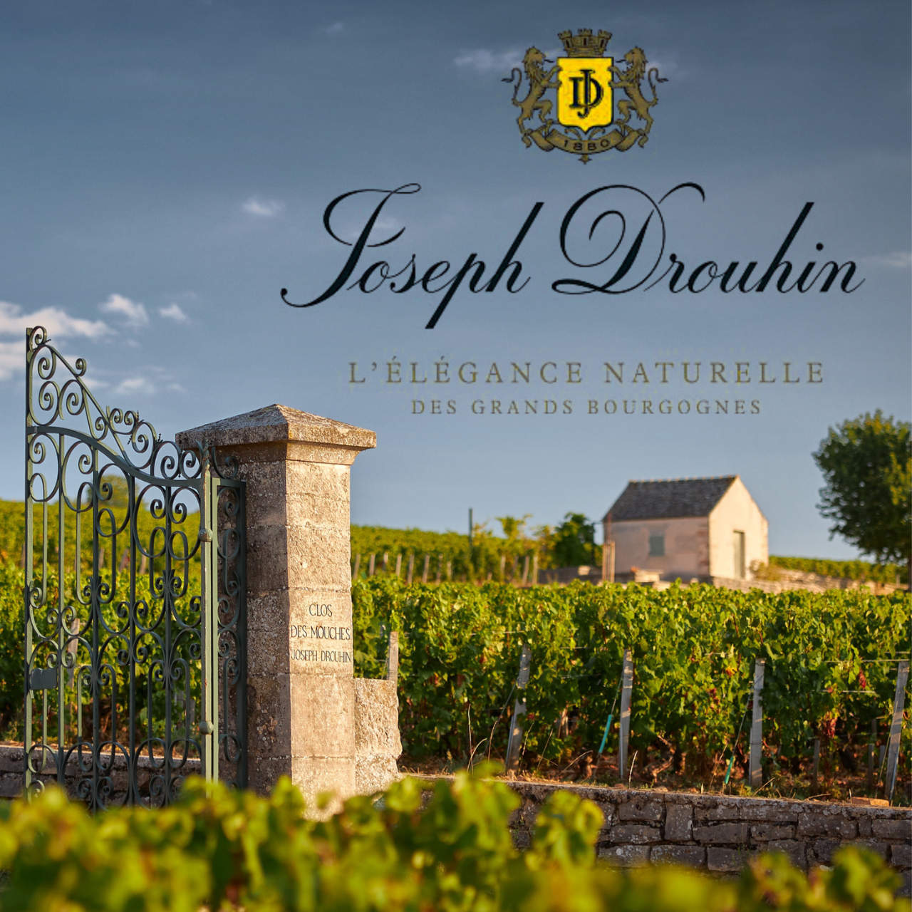 Joseph Drouhin - Burgundin huippuvalkoviinien salaisuudet, La 24.10. klo 17